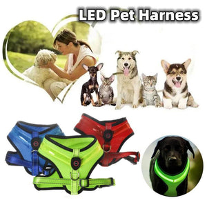 Lighted Dog Harness