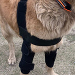 Dog Knee Pads