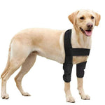 Dog Knee Pads