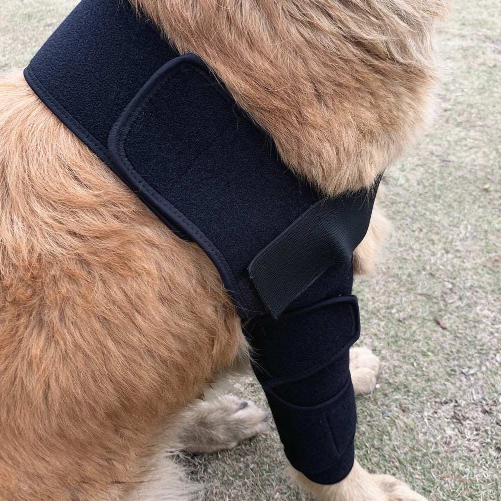  Dog Knee Pads