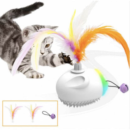 Cat Toys