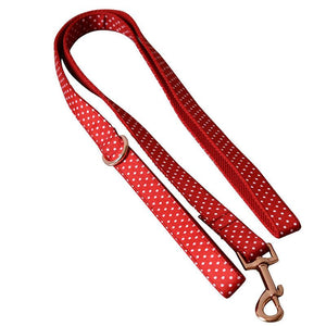 dog leash