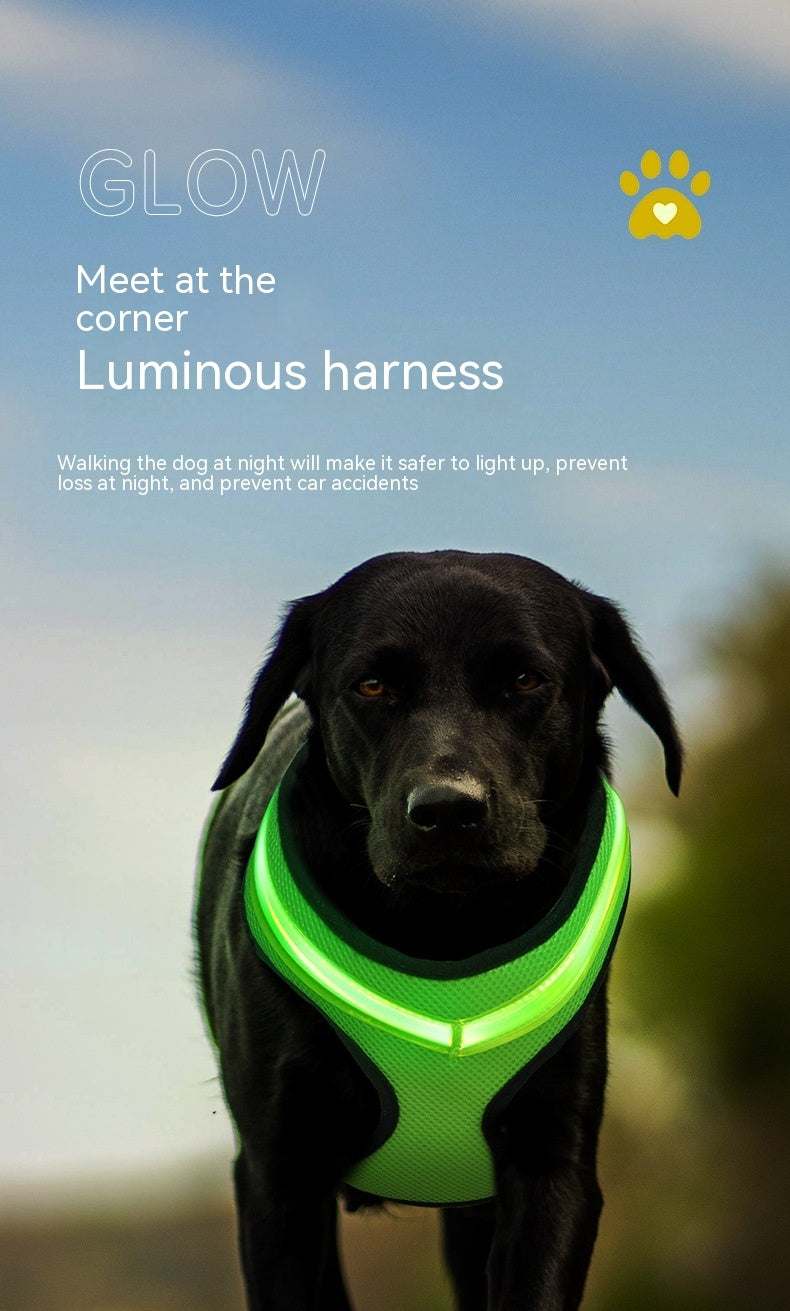 Lighted Dog Harness