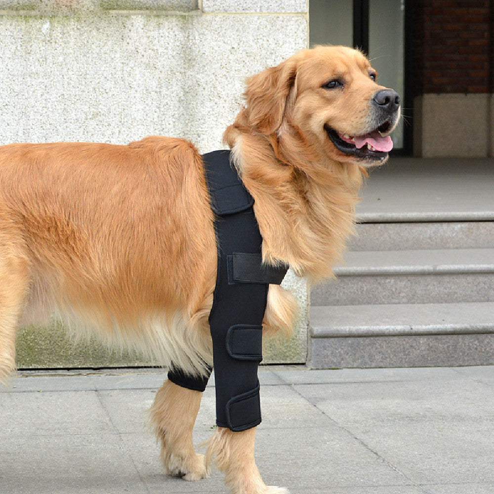 Dog Knee Pads